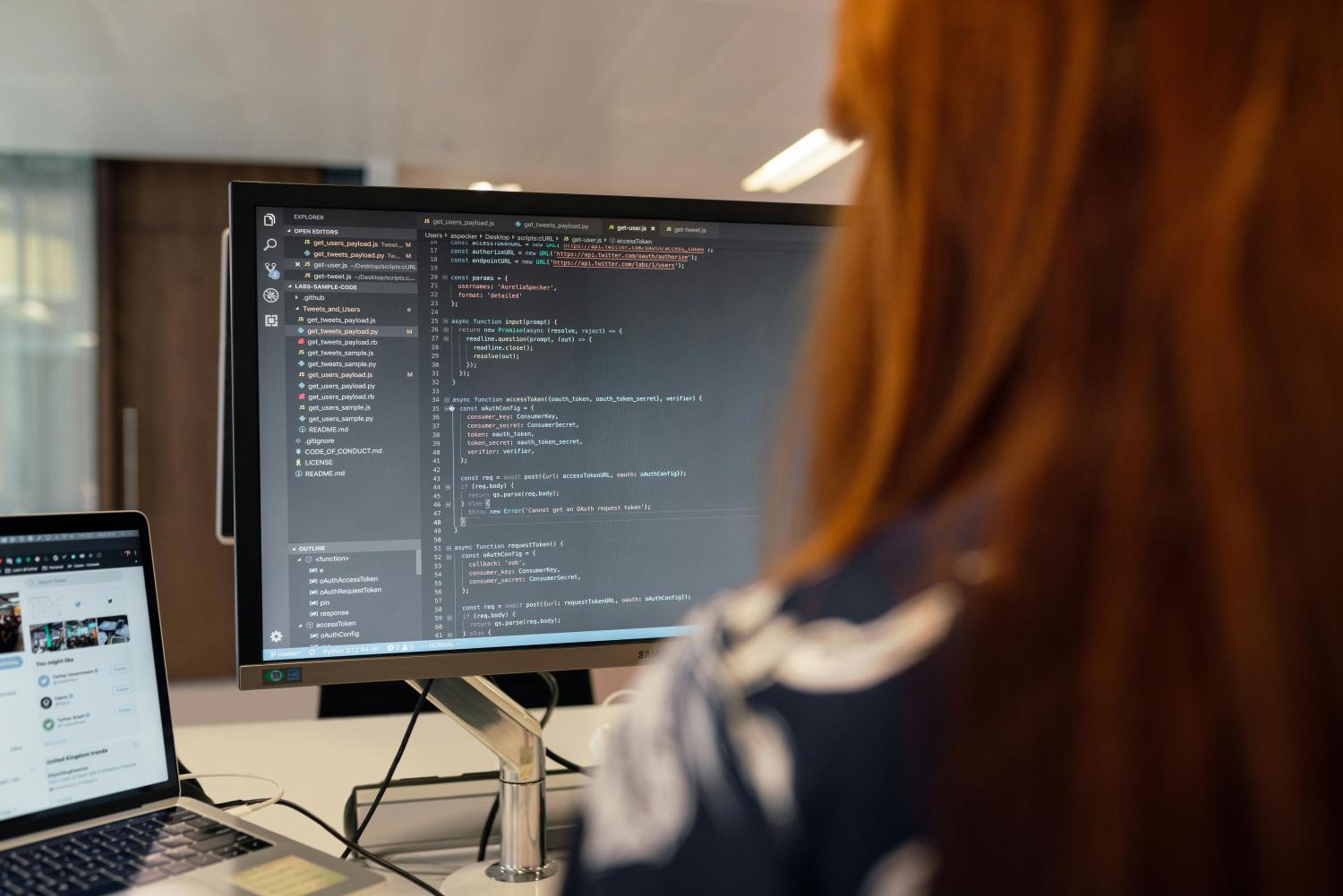 Software developer