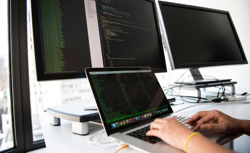 Developer