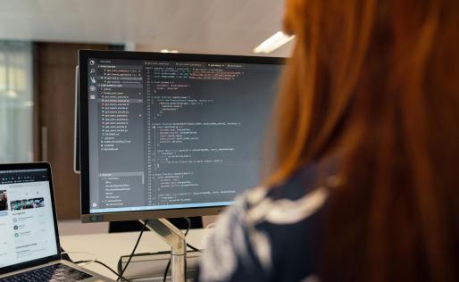 Software developer